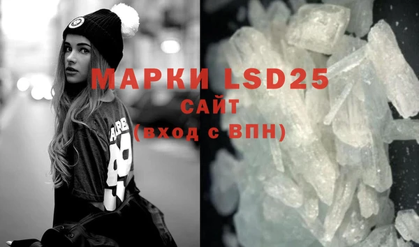 стафф Михайловск