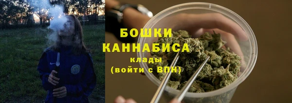 стафф Михайловск