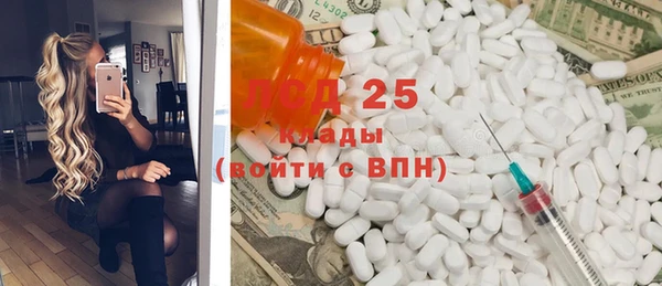 стафф Михайловск