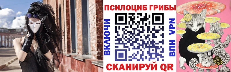 Галлюциногенные грибы мицелий  Пионерский 